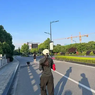 陈鹏